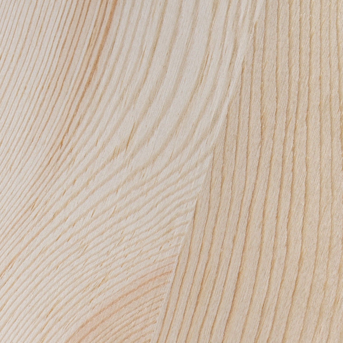 Cactus Jade - 10 oz Soy Candle - SOPHIE BLAKE NY